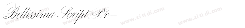 Bellissima Script Pr字体转换